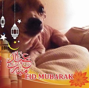 Meet your Posher, Anita